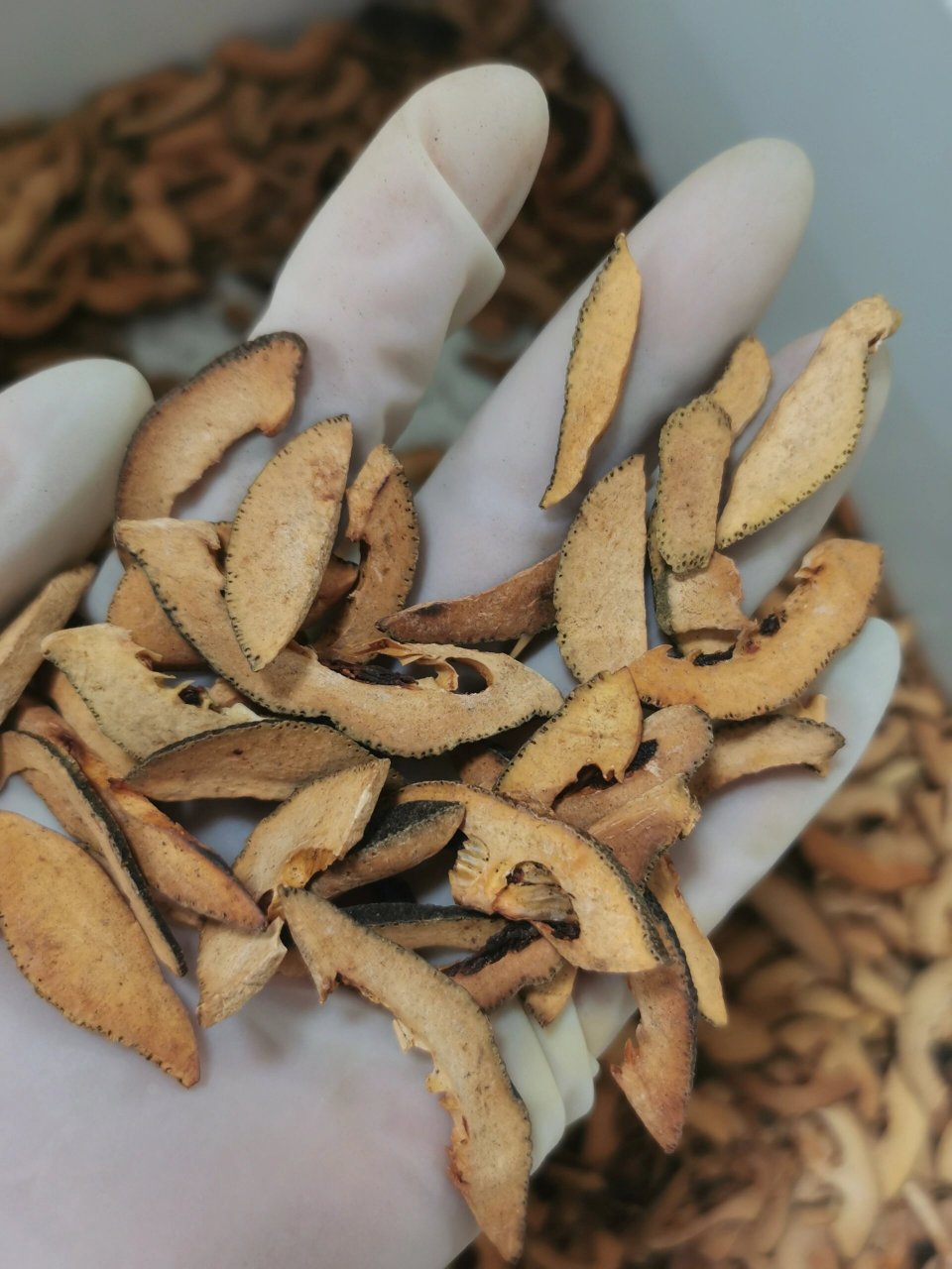 麸炒枳壳 麸炒枳壳的功效与作用 理气宽中,止痛,行滞消胀 麸炒枳壳,为