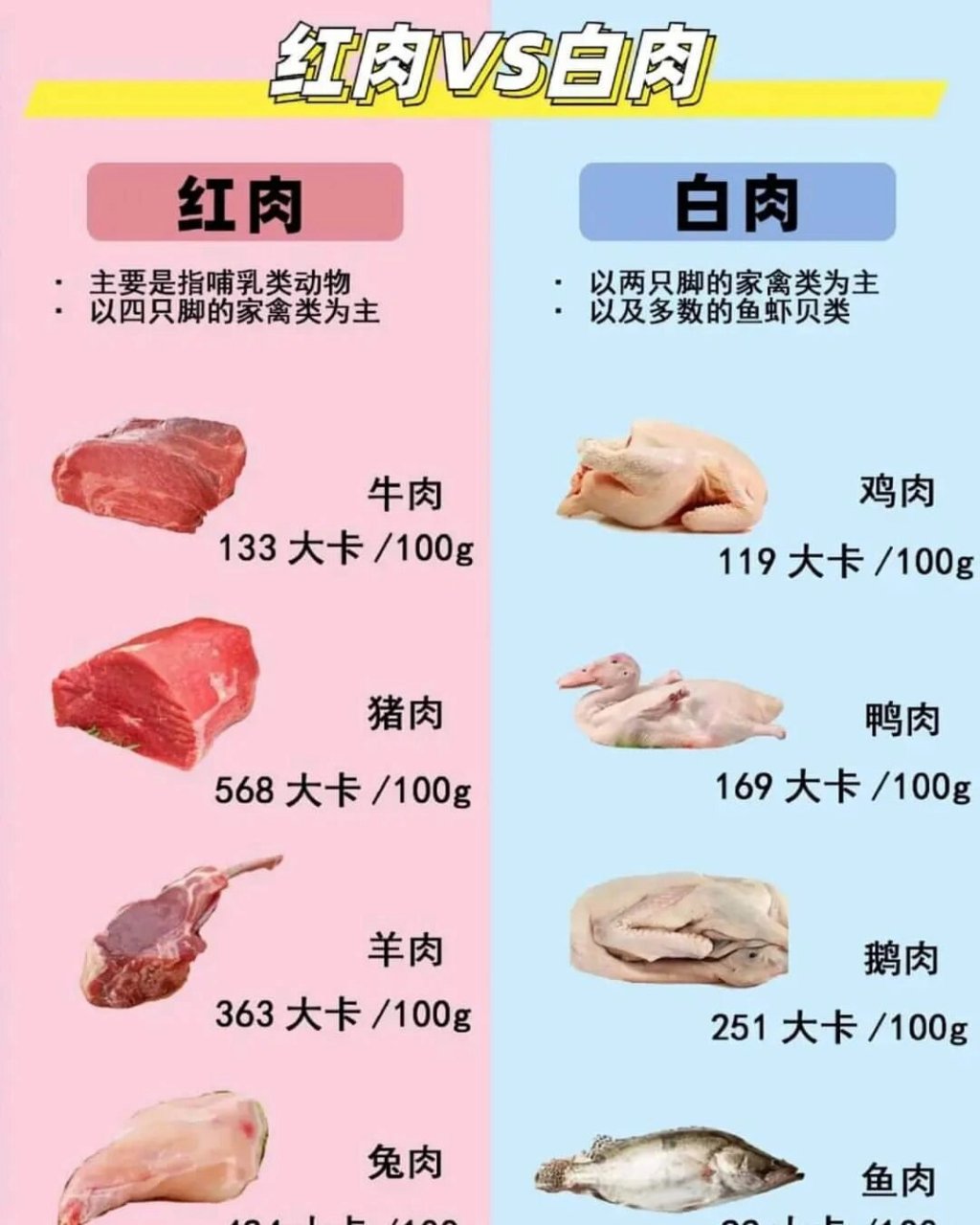 常见动物料肉比图片