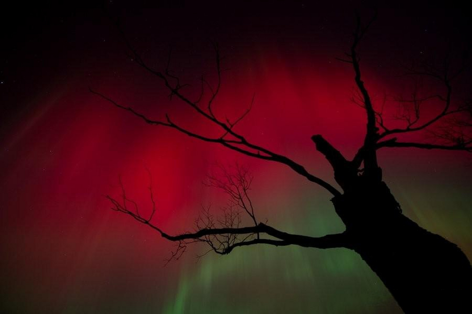 所见所得,都很科学  apod天文酷图  天文酷图   【 十月的夜空  】