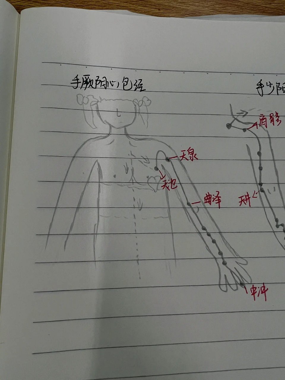 手三阳经脉循行图片