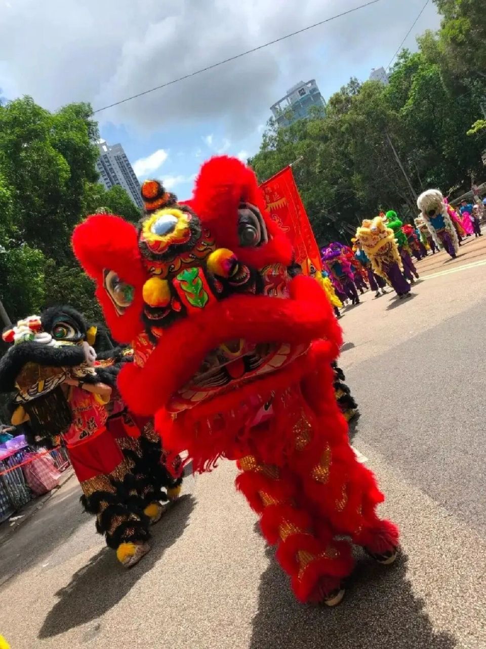 非遗文化之一一彩扎(佛山狮头)(一) 彩扎(佛山狮头),广东省佛山市传统