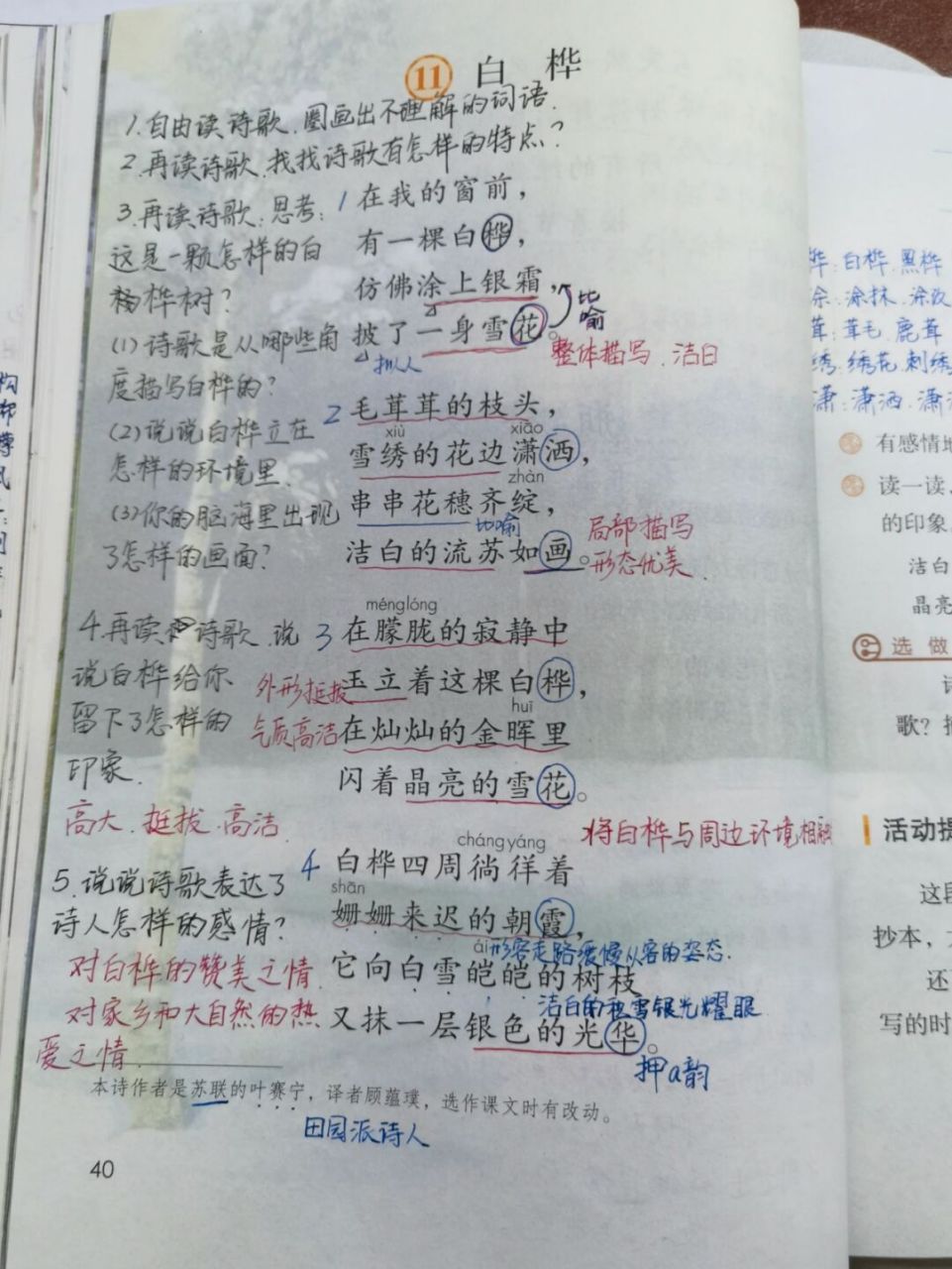 【备课笔记】四下语文《白桦》