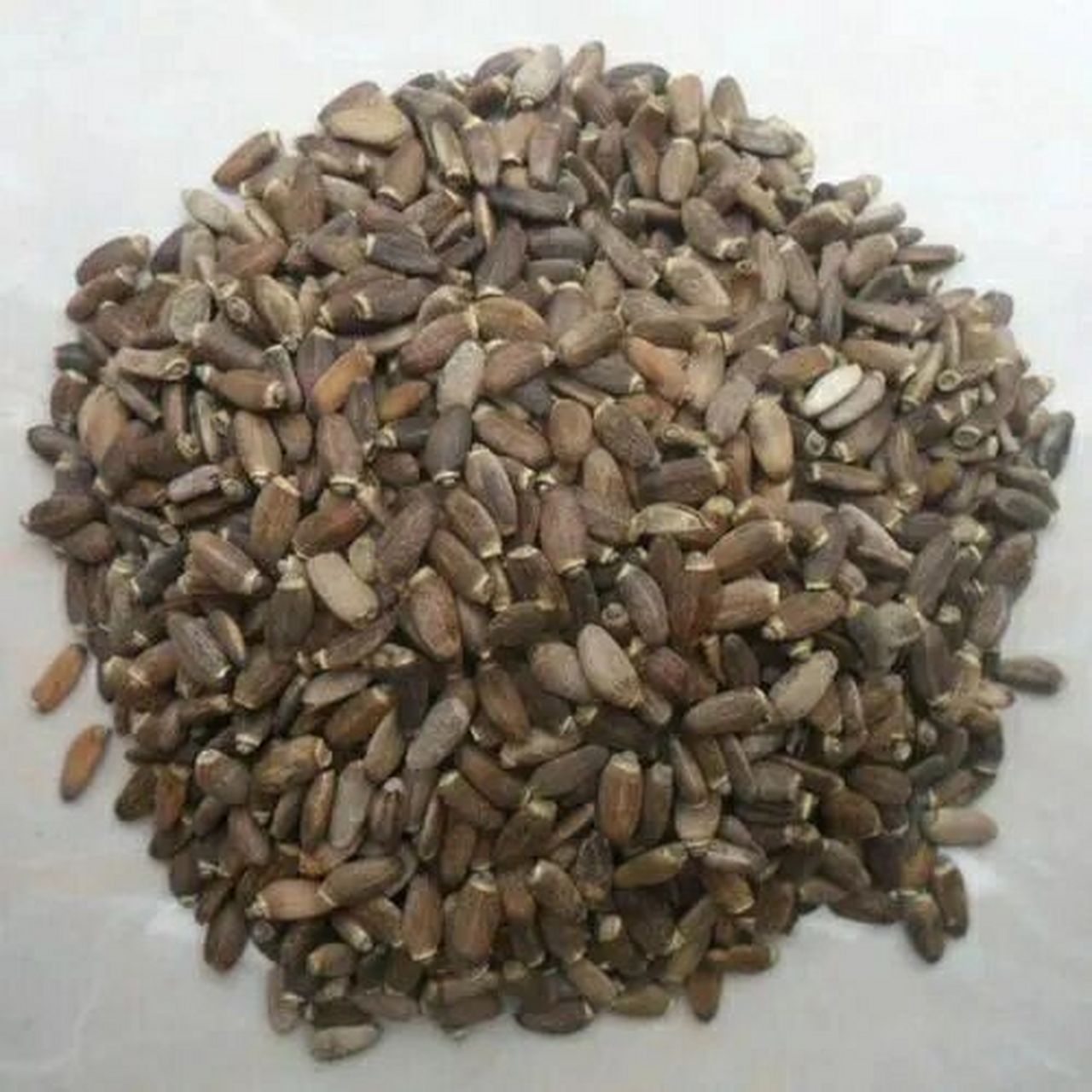 水飞蓟籽油都有哪些主要的功效 水飞蓟籽油主要功效就是养肝护肝,水飞