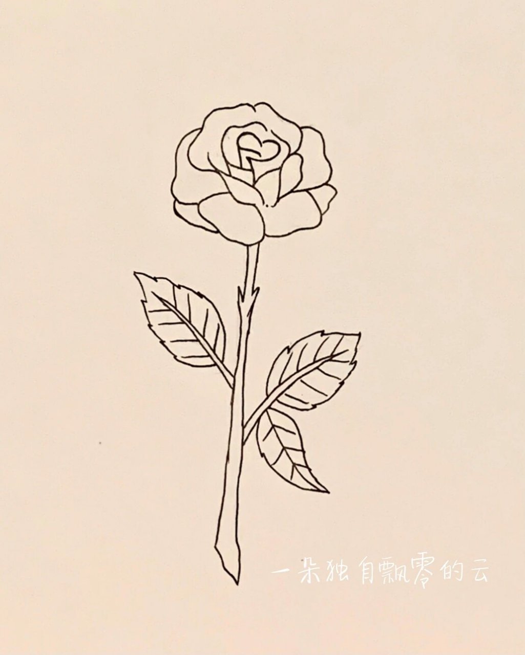 山茶花简笔画
