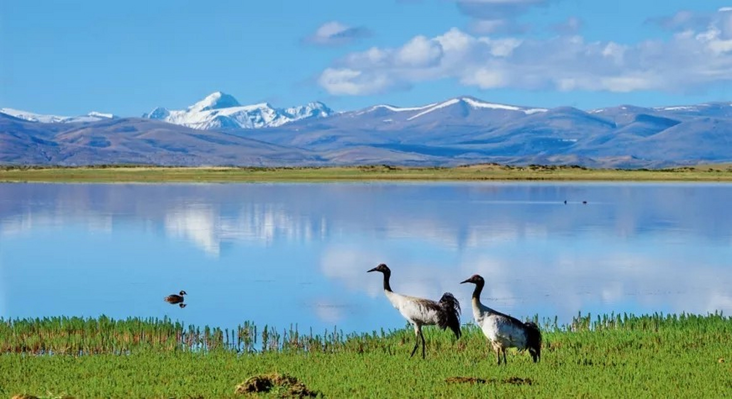 西藏三大圣湖 纳木错 纳木错位于西藏拉萨和那曲的交界地带,是世界上