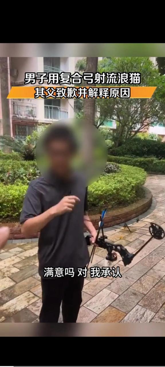 近日,一男子用复合弓射流浪猫的视频在网络上广泛传播,也广受热议