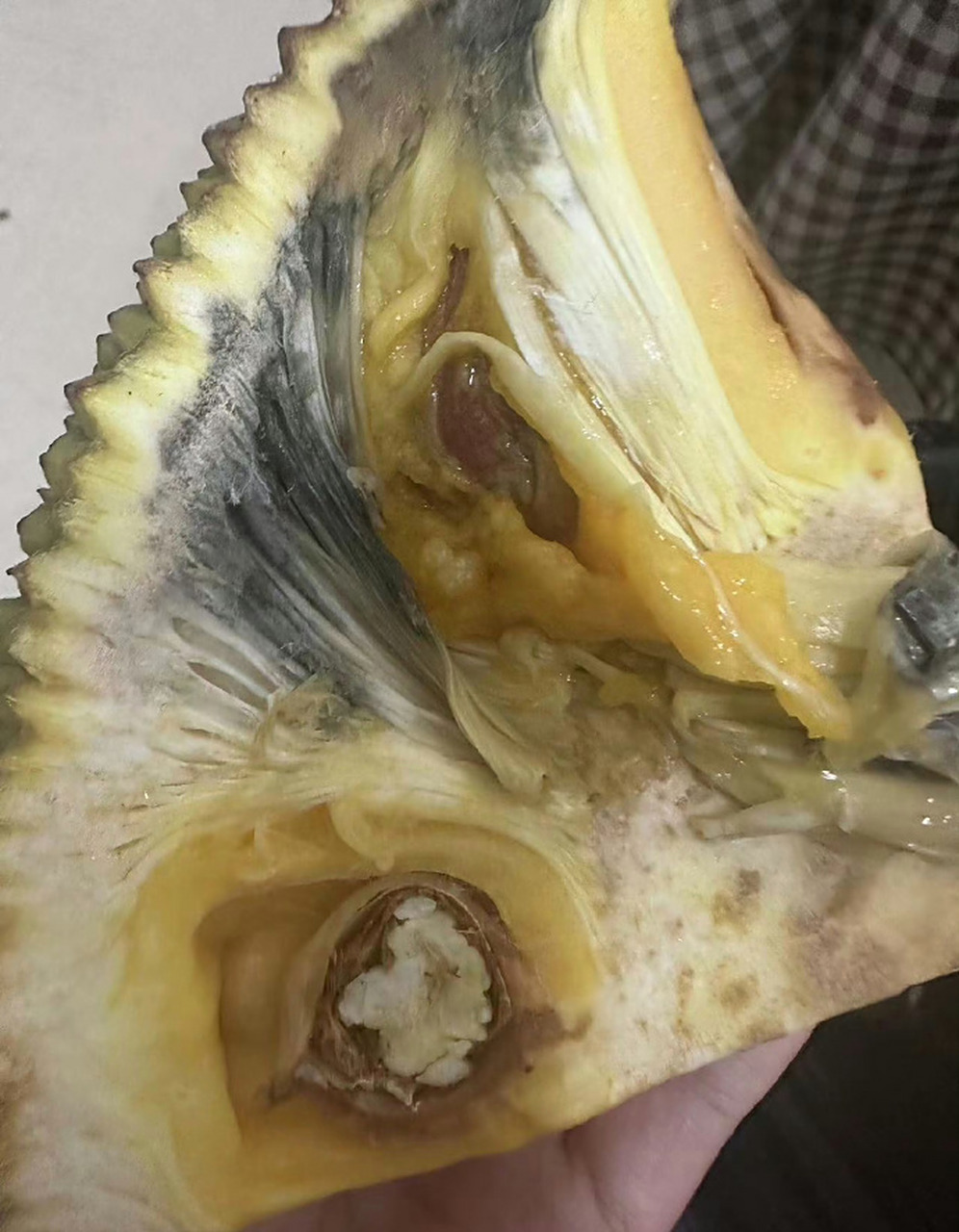 济宁#【济宁利客购物体育馆店菠萝蜜变质发臭】  事情经过:于2023年8