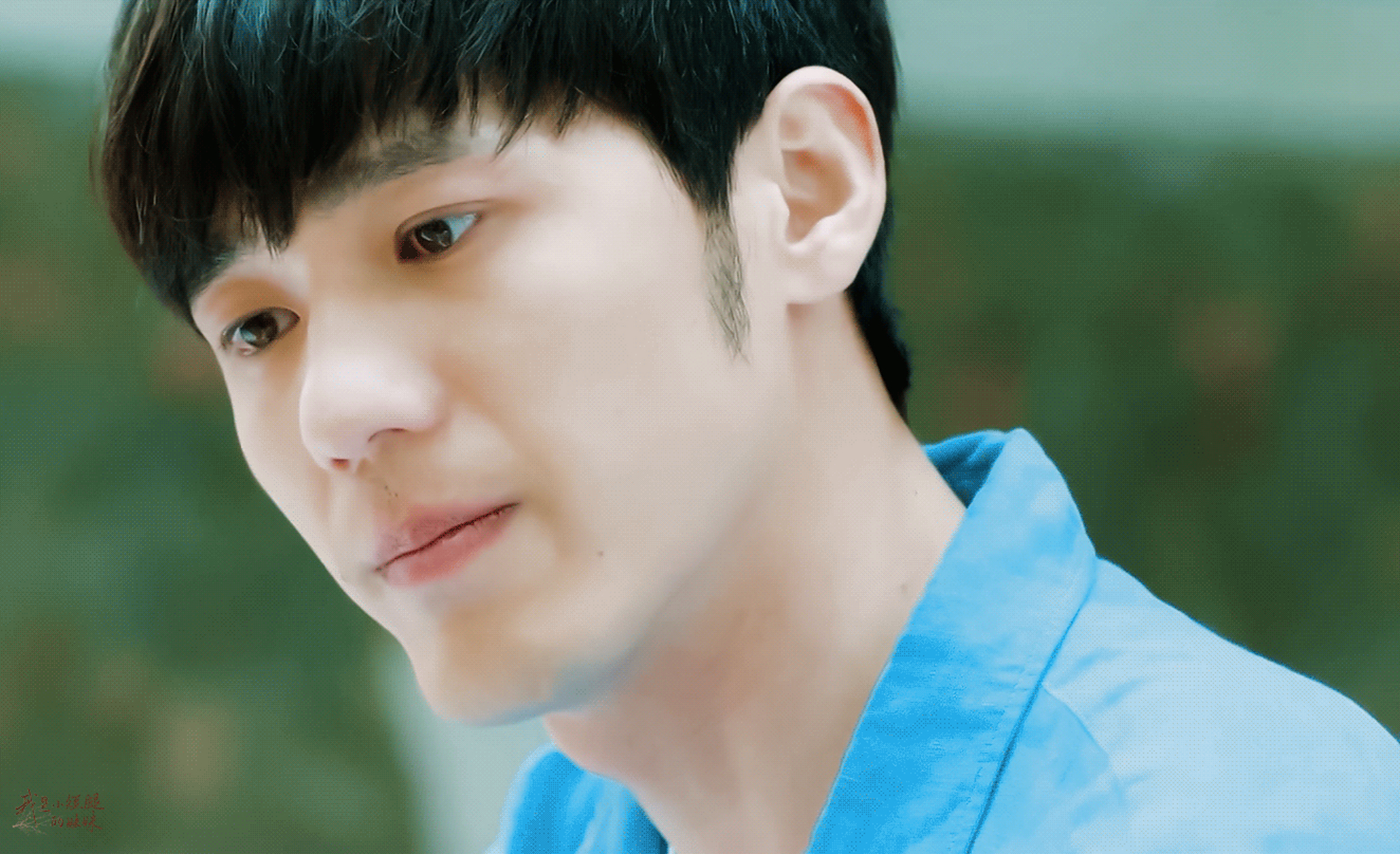 谁能不爱忽而今夏里那个白宇呢!就是学长的模样啊!