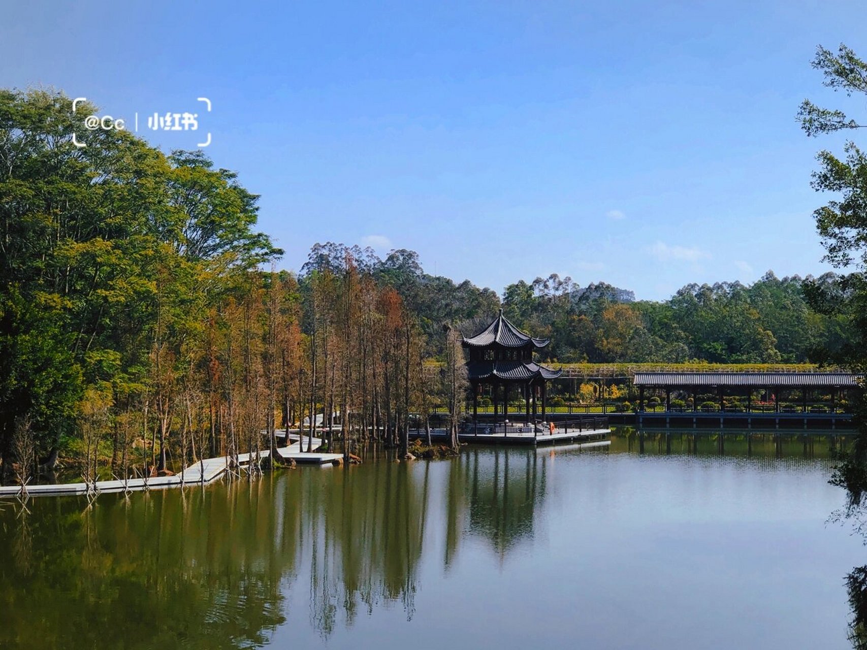 潮州周边游 | 饶平·绿岛山庄72 时隔多年重游小时候春游的地方