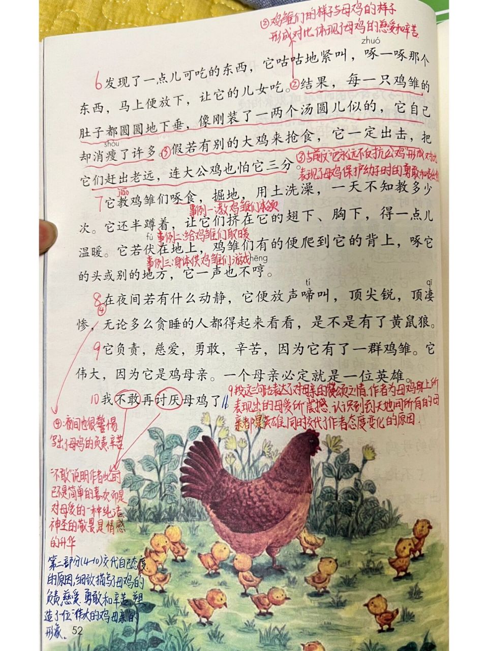 四年级下册语文第14课《母鸡》预习