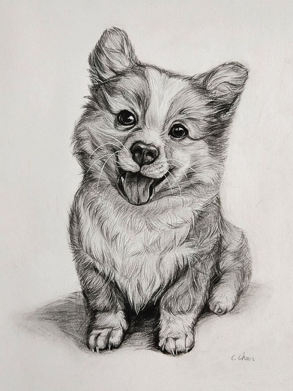 新手绘画练习:小狗狗(炭笔素描) 绘画工具: 1.