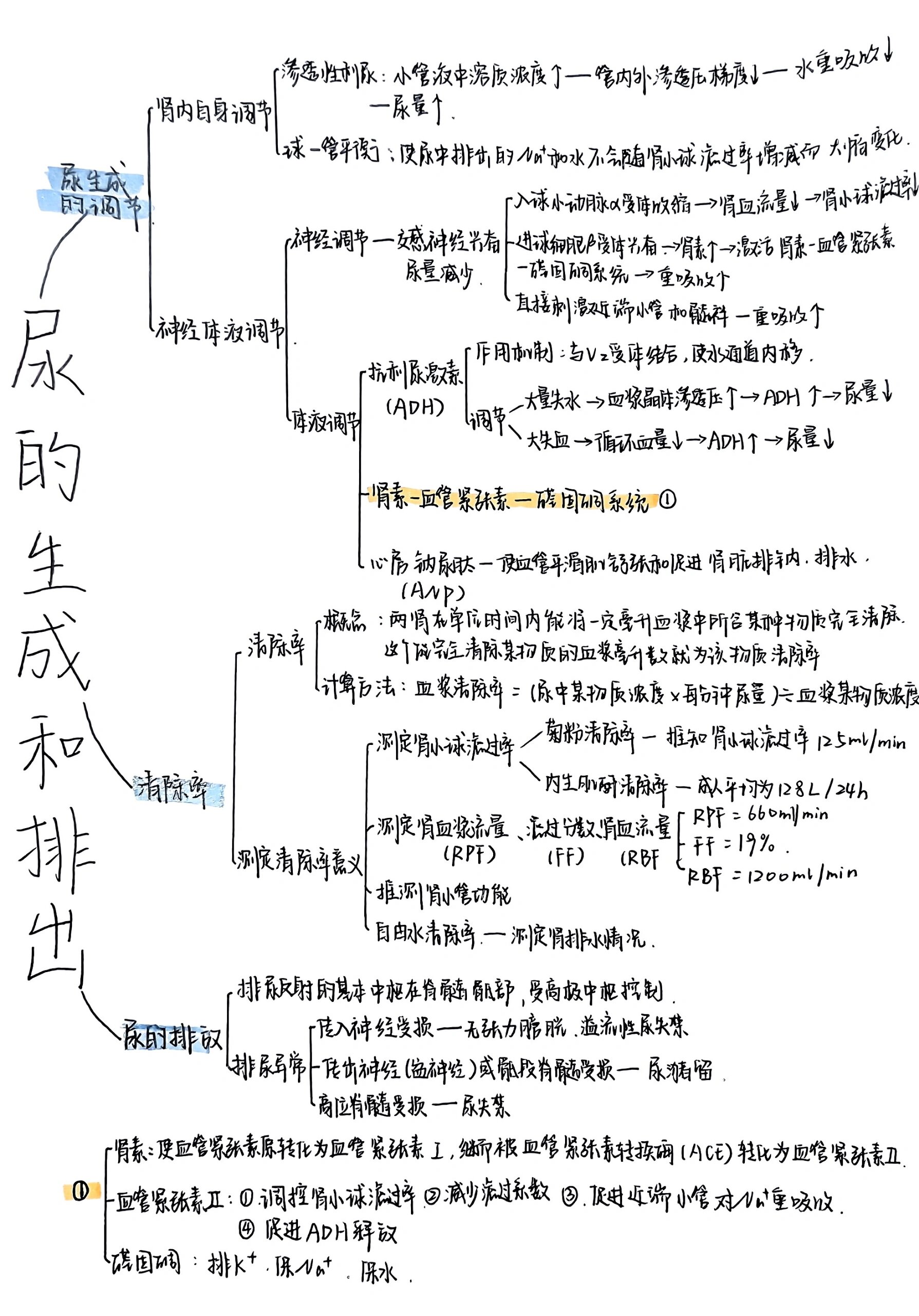 生理学第八章尿的生成和排出思维导图