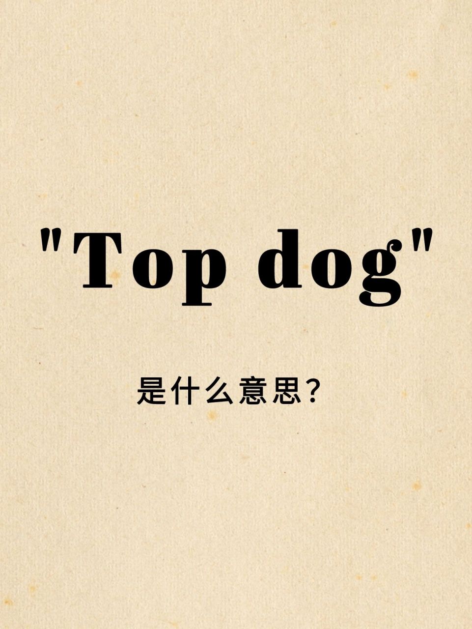 98大家看到"top dog"这个单词,第一反应是什么意思?