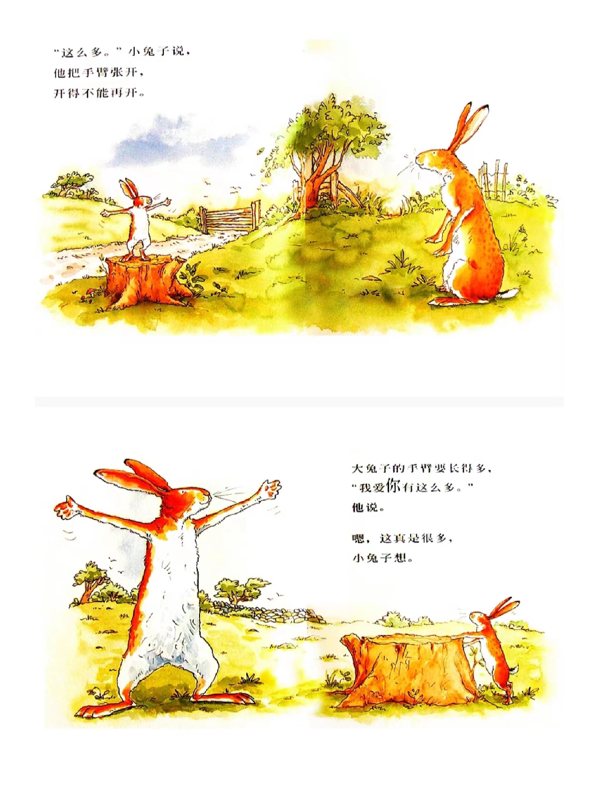 9797一等奖公开课‖《猜猜我有多爱你》 今日分享:优质幼儿园公开