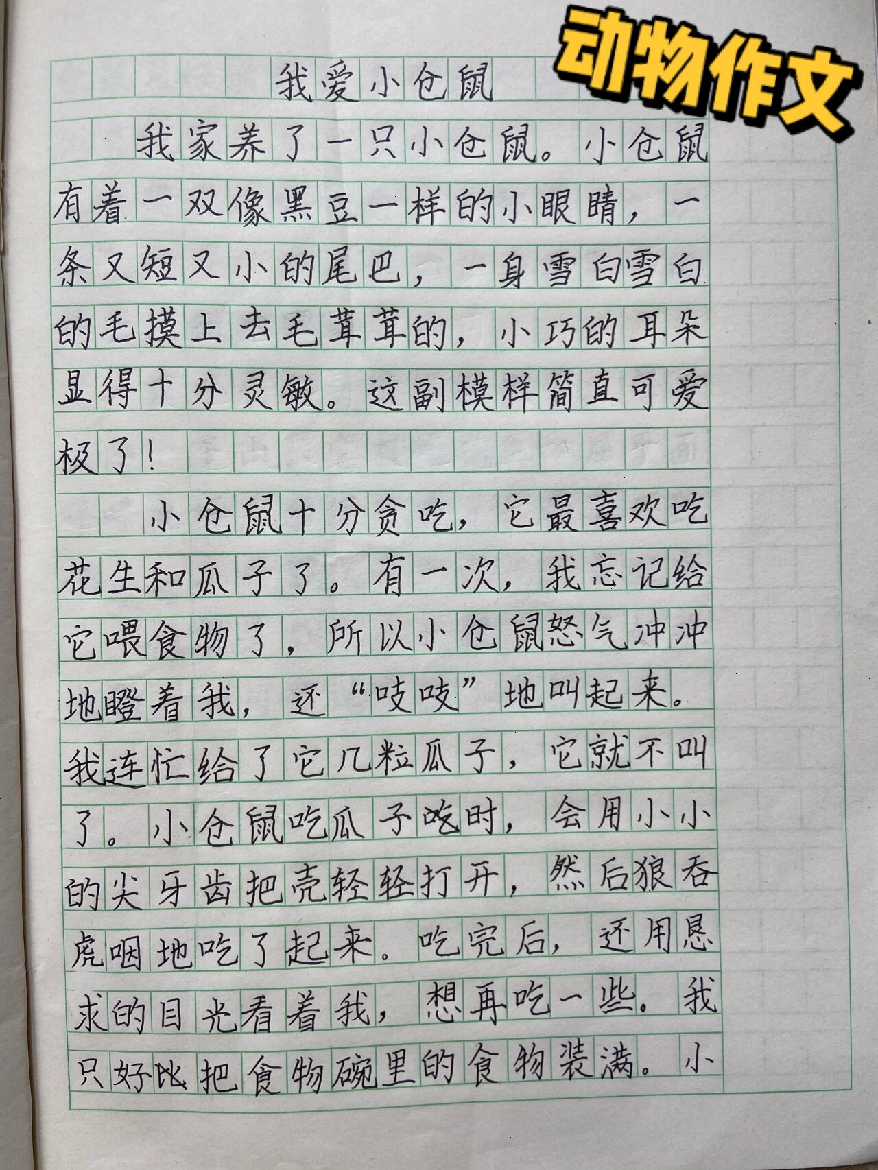 动物作文200字图片