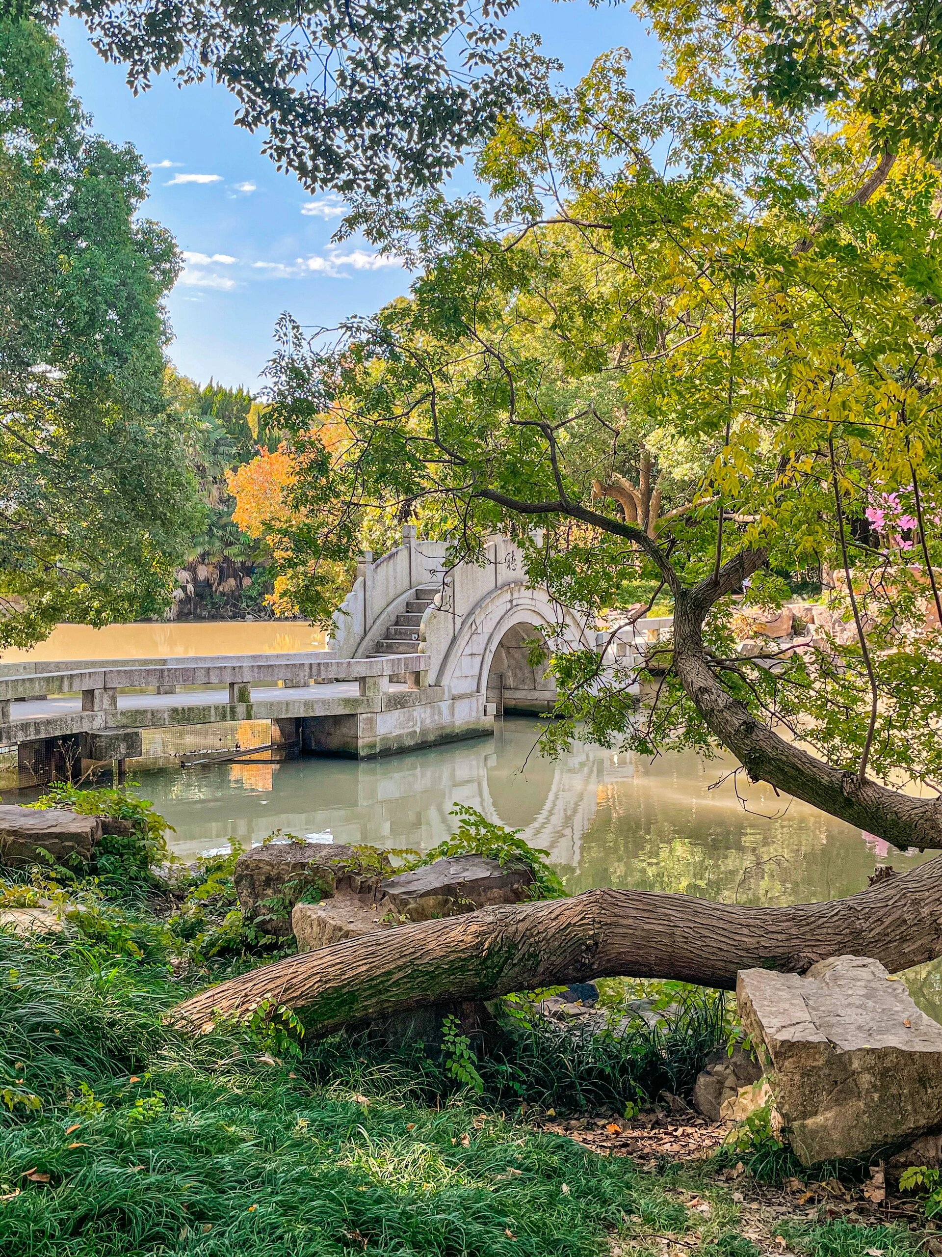 南通4a级7415狼山啬园环境静雅景色宜人06