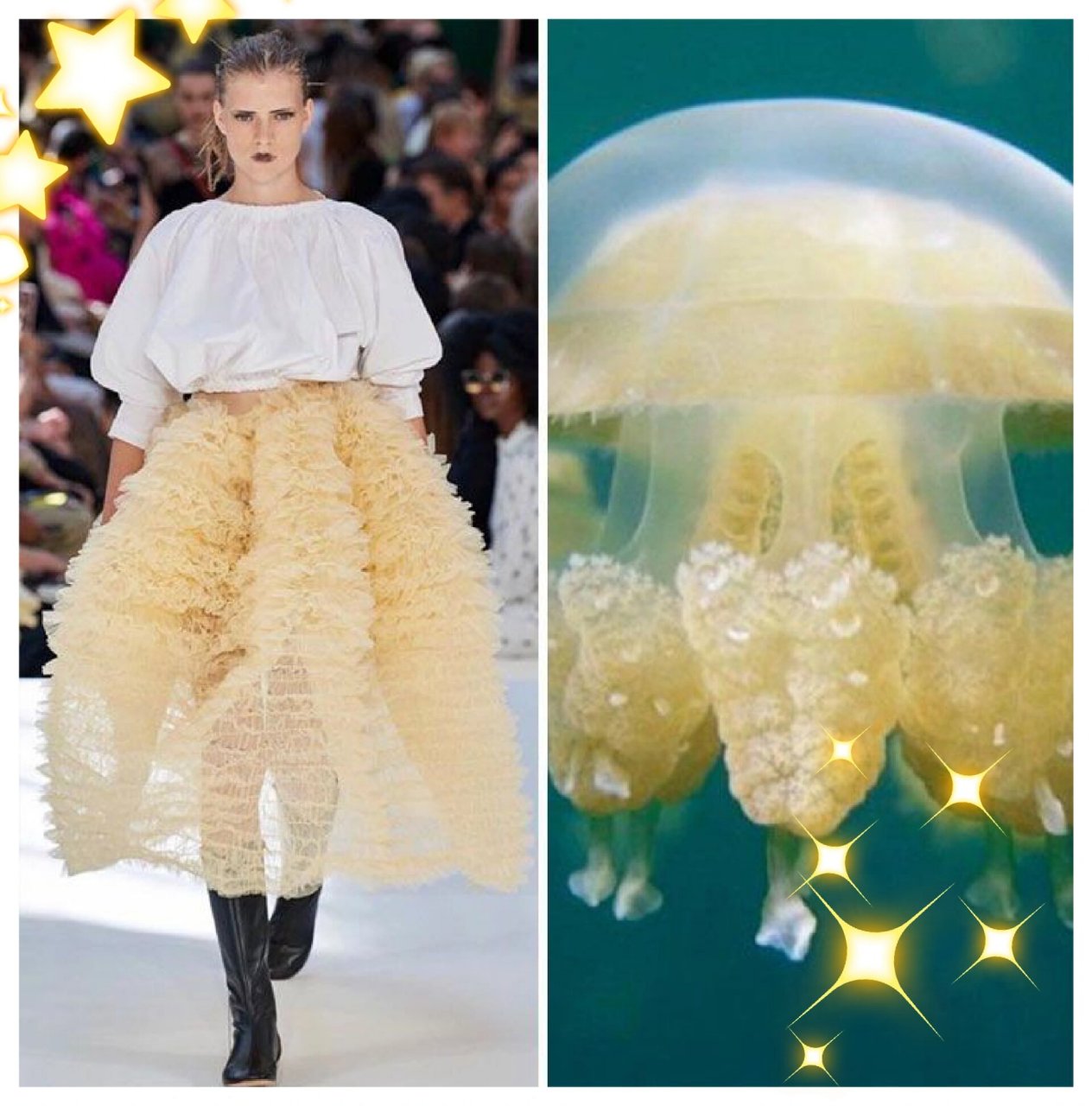 服装设计丨水母仿生服装设计