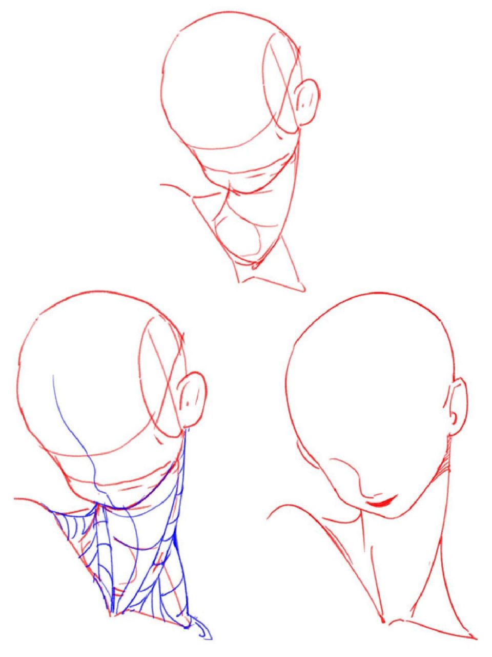 人体练习 | 动漫女生的脖子画法(22/100) 继上 之前《绘画05,06》脖子