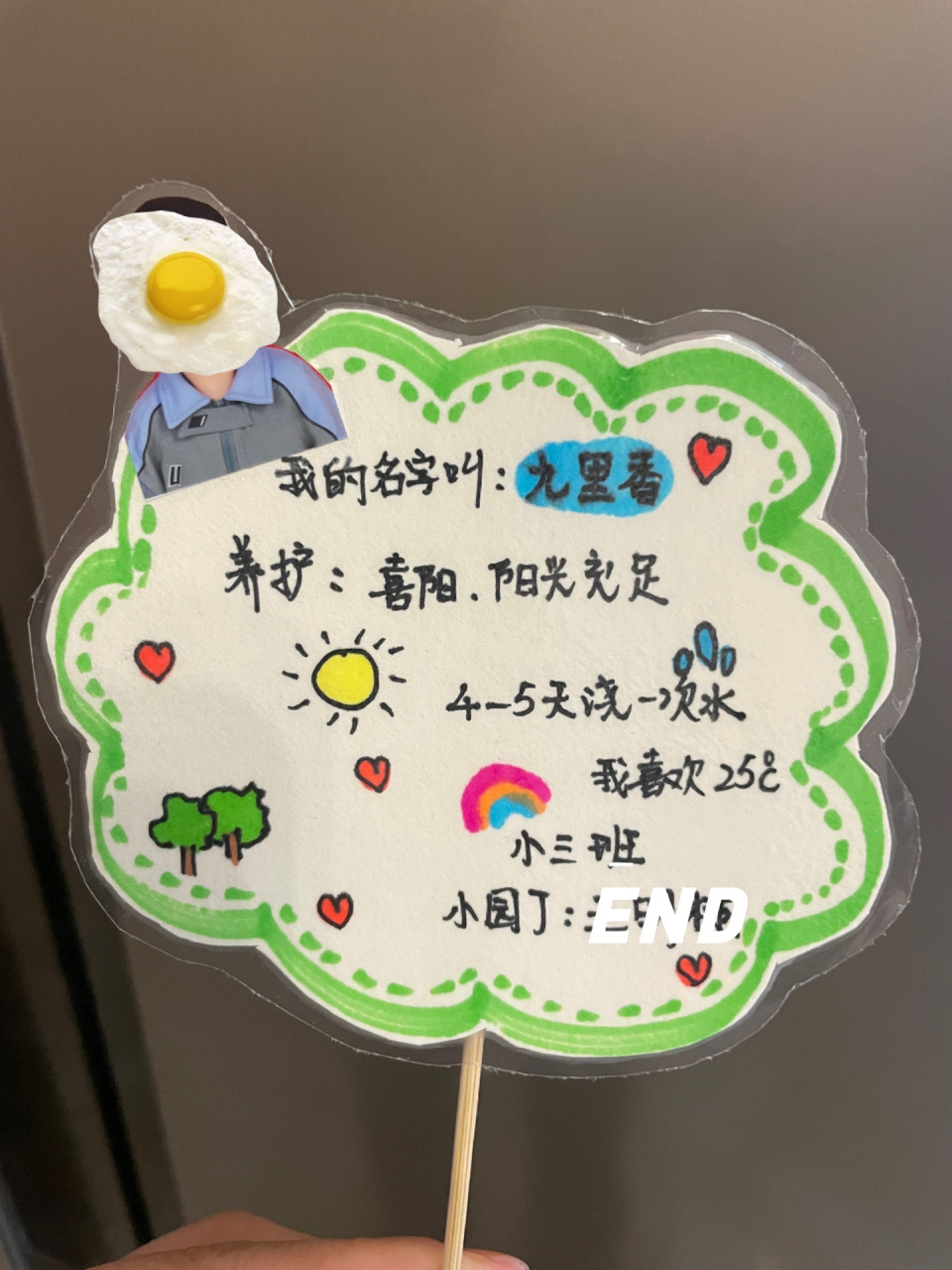 幼儿园植物小标签 幼儿园要带植物,然后做小标签 手残党妈妈字写的