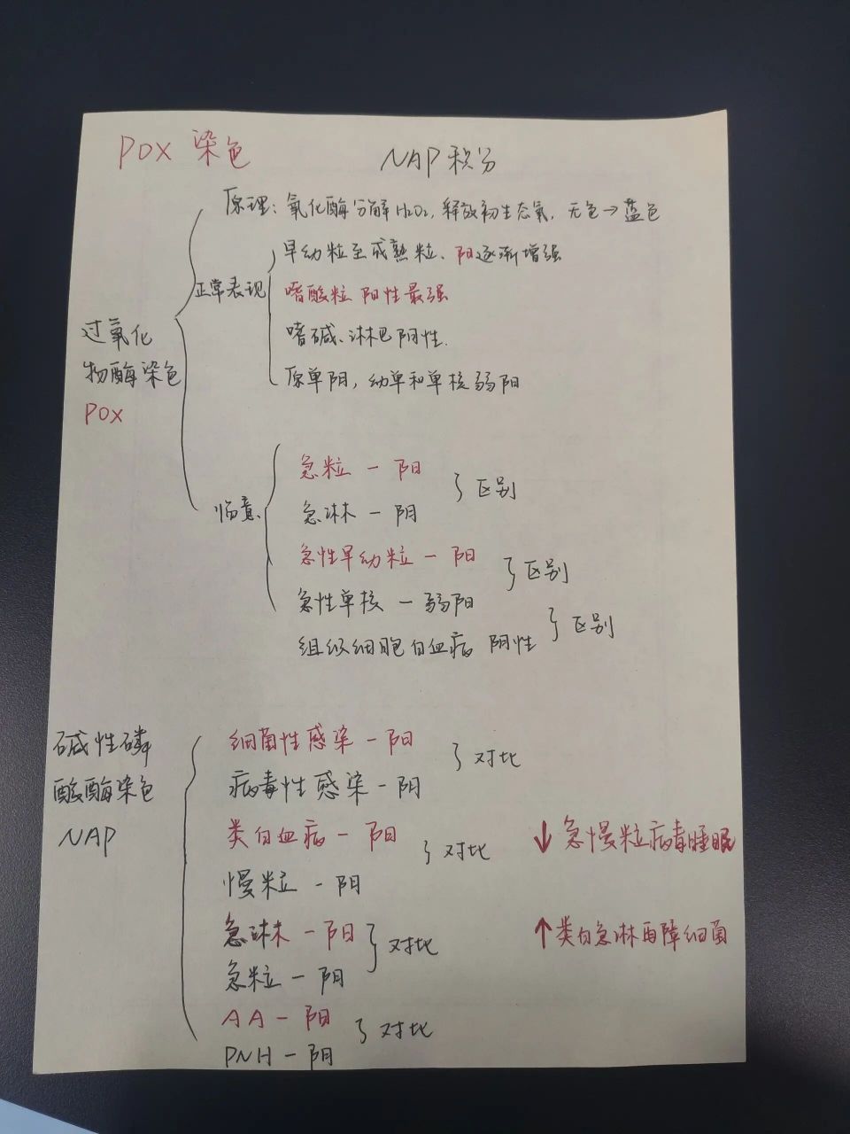 pox,pas,nap,acp,铁染色