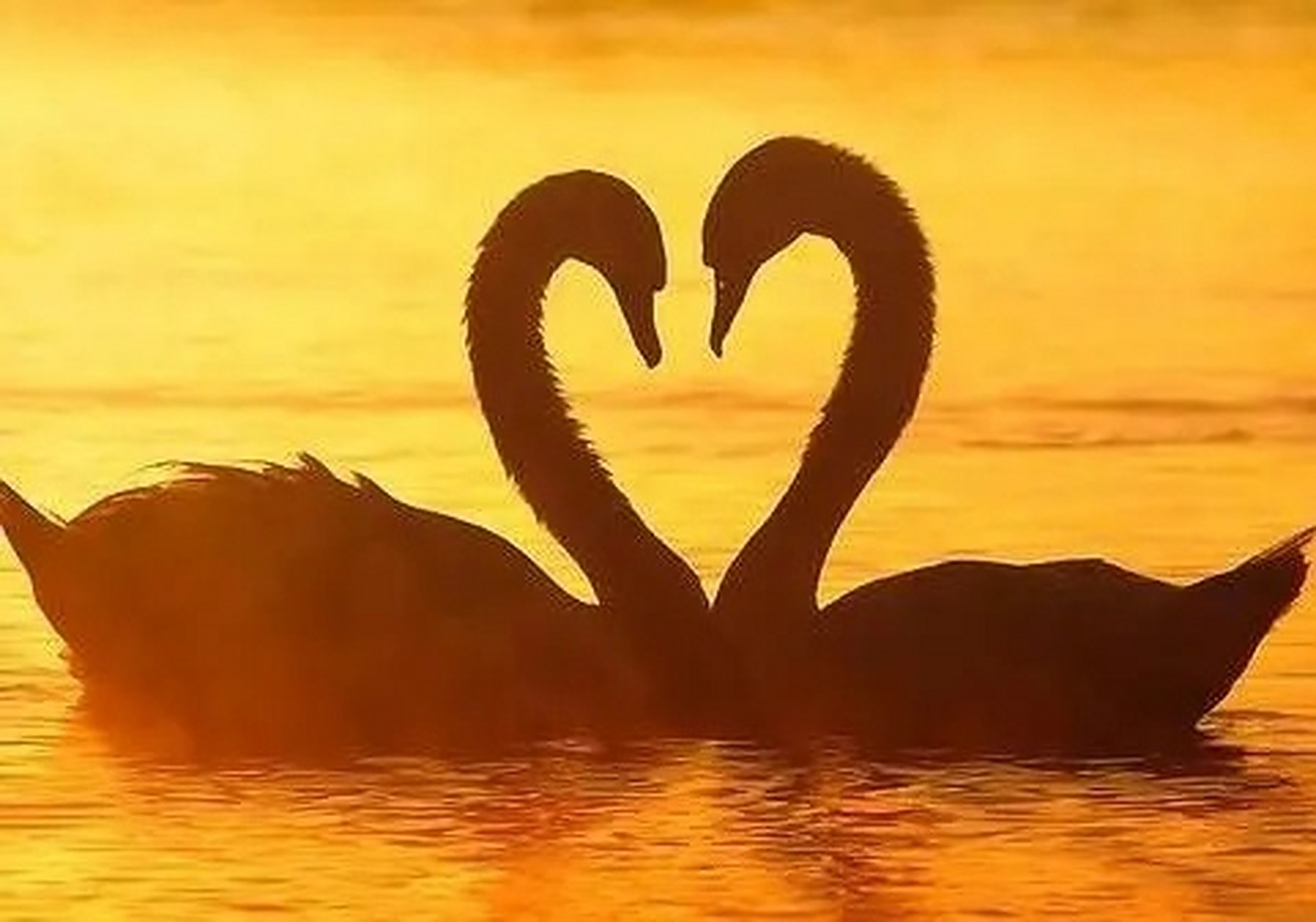 婚姻##情感生活指南##婚姻挽回# 昨晚有粉丝问:"老师,我是二婚,每次