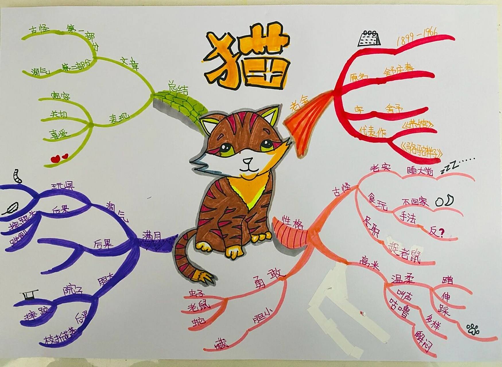 四年级下册语文第四单元思维导图第13课《猫》 四年级下册语文第四