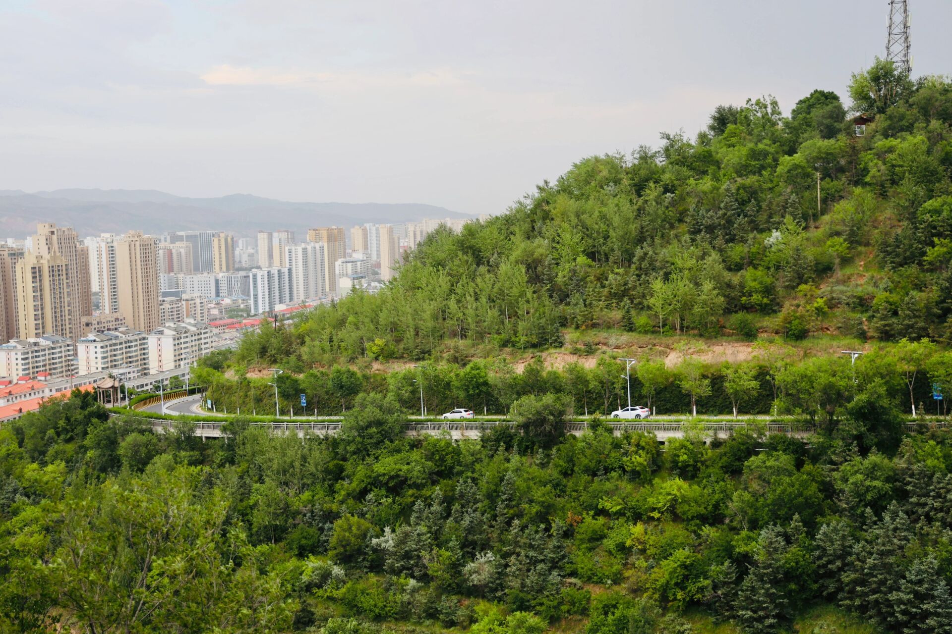 西宁市南山公园 到达西宁第一天,没有安排行程,酒店休息半天身体逐渐