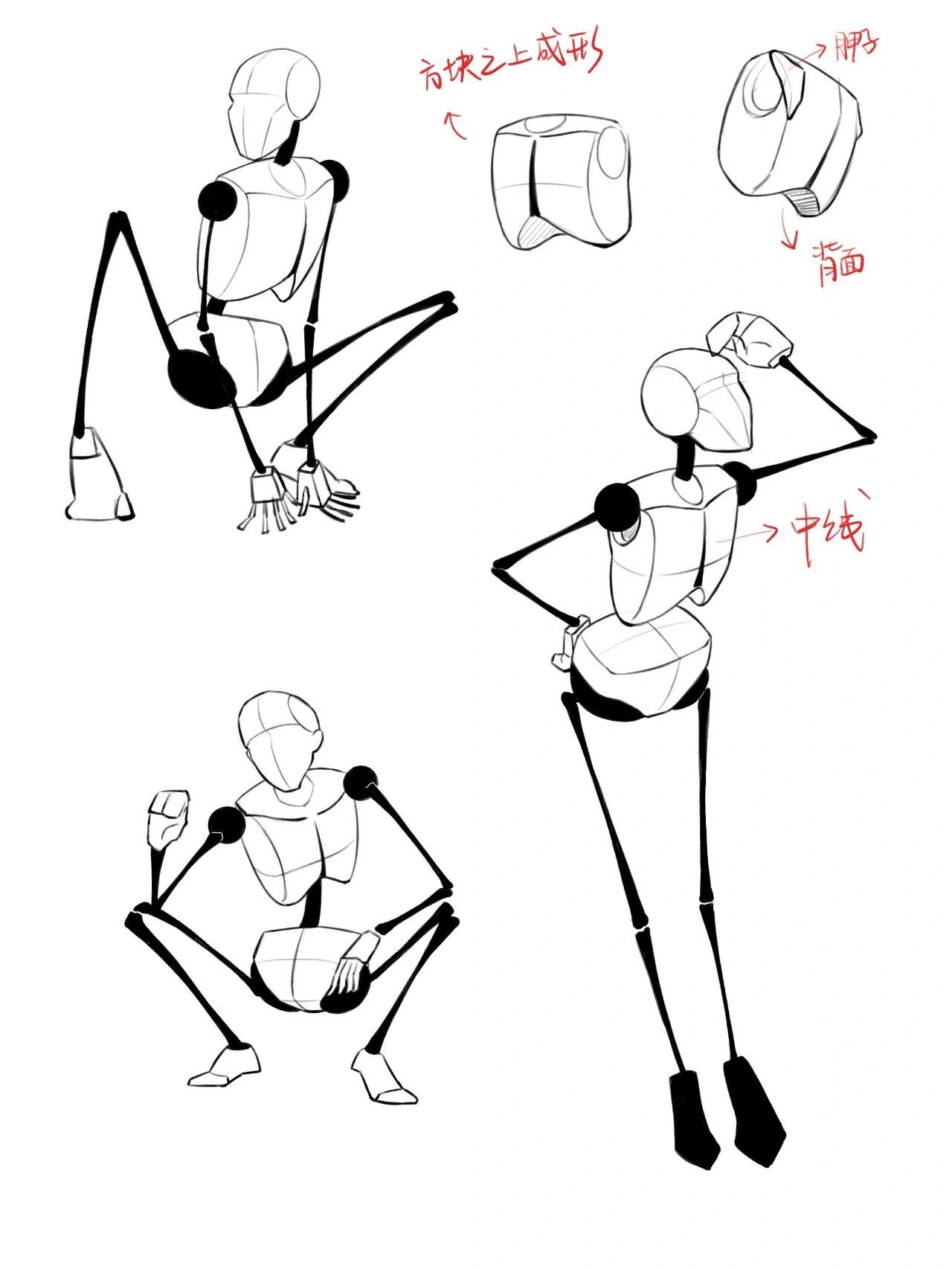画法 最近从方块人练习到火柴人了 画火柴人要把头,胸腔和盆骨的比例