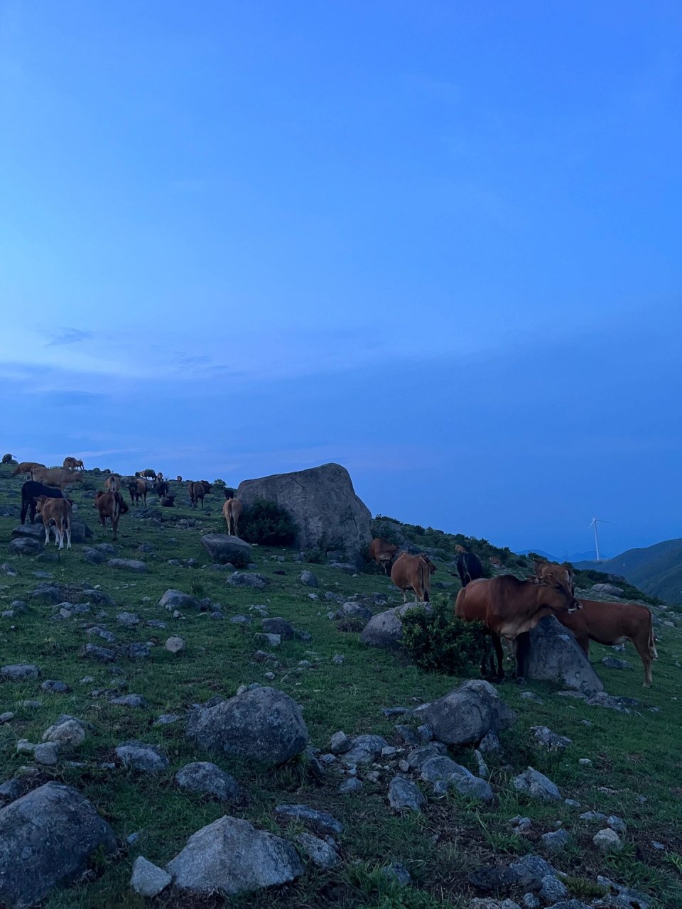 江西|美丽小山9015 99玉华山 南昌出发一个半小时左右就到,直达