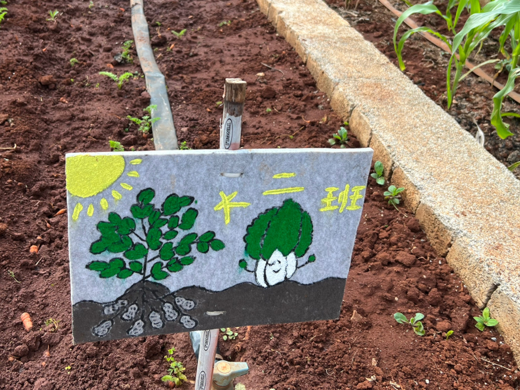 【菜牌设计】大班手绘菜地菜牌 【菜牌设计】大班手绘菜地菜牌