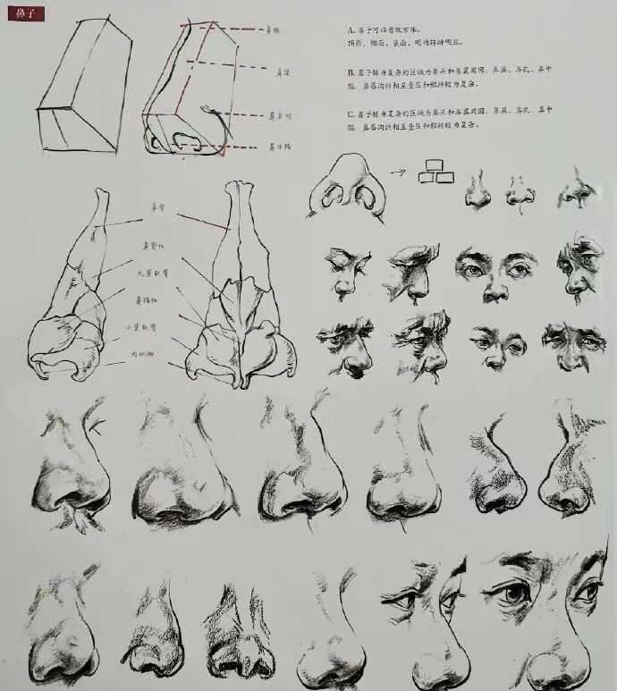 速写头部结构步骤教案图片