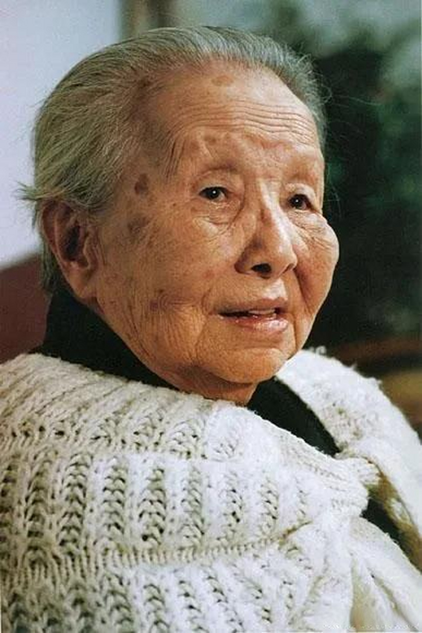 在漫长的海上旅程中,他们开始相互交谈,结果谈来谈去,吴文藻就爱上了