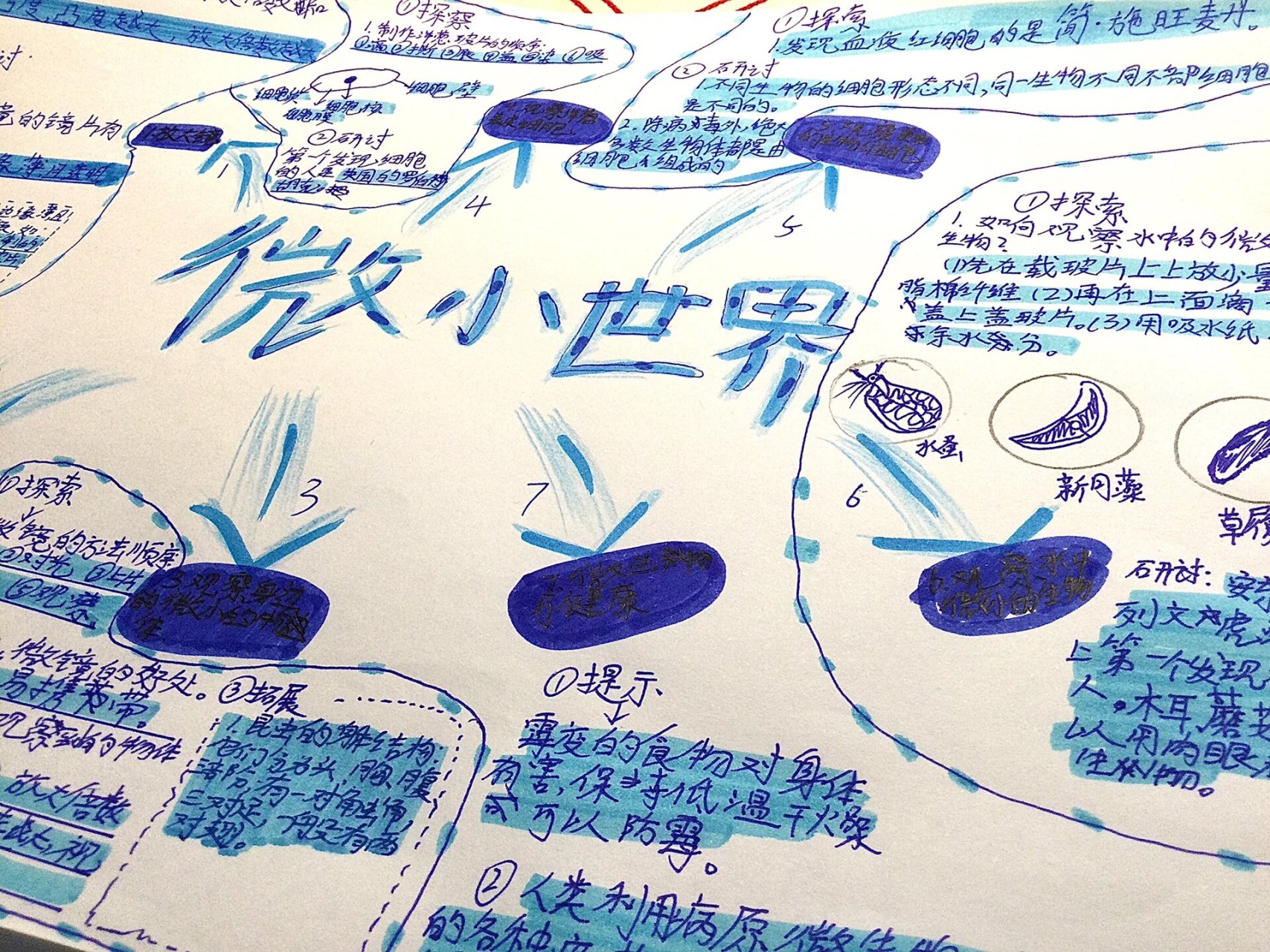六上科学第一单元《微小世界》思维导图