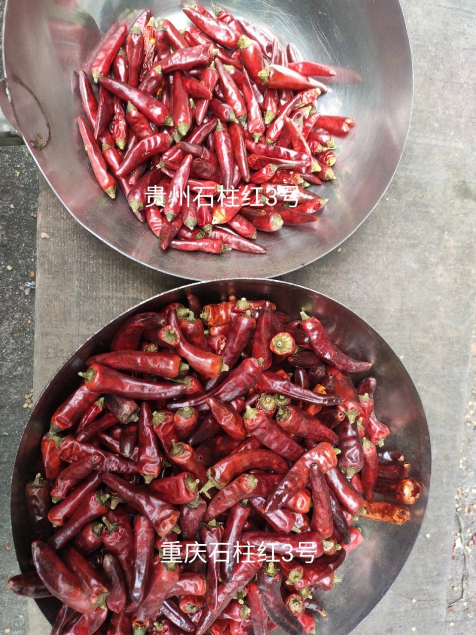辣椒的种类 1.石柱红3号:香味浓郁,皮厚耐煮,颜色鲜艳,辣度为5.