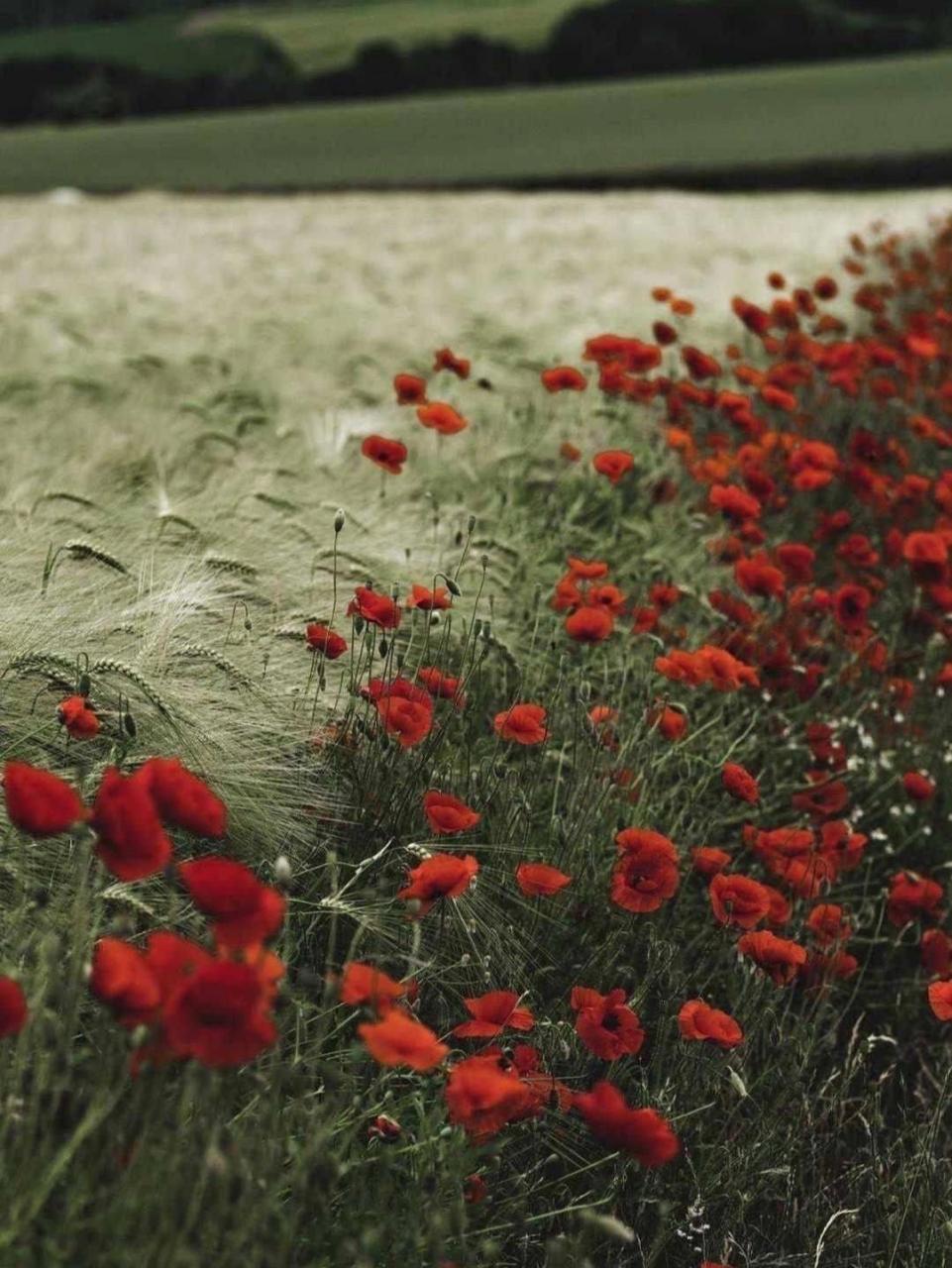 超好看的风景图片!96969494 超级好看的9494手机壁纸