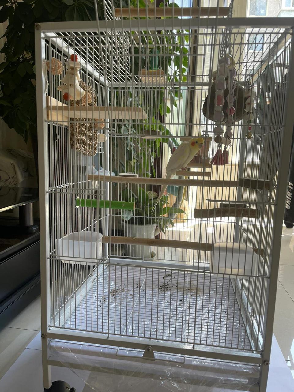 玄凤鹦鹉笼子布置 我只有一只玄,给它买了个别墅笼子,但我发现它从来