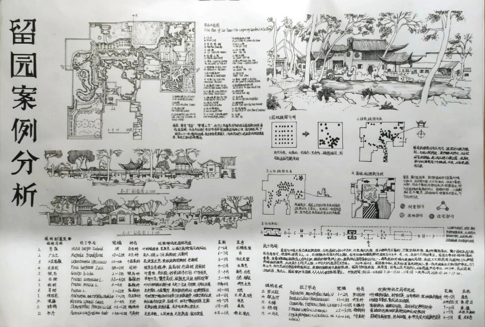 留园小蓬莱手绘图片