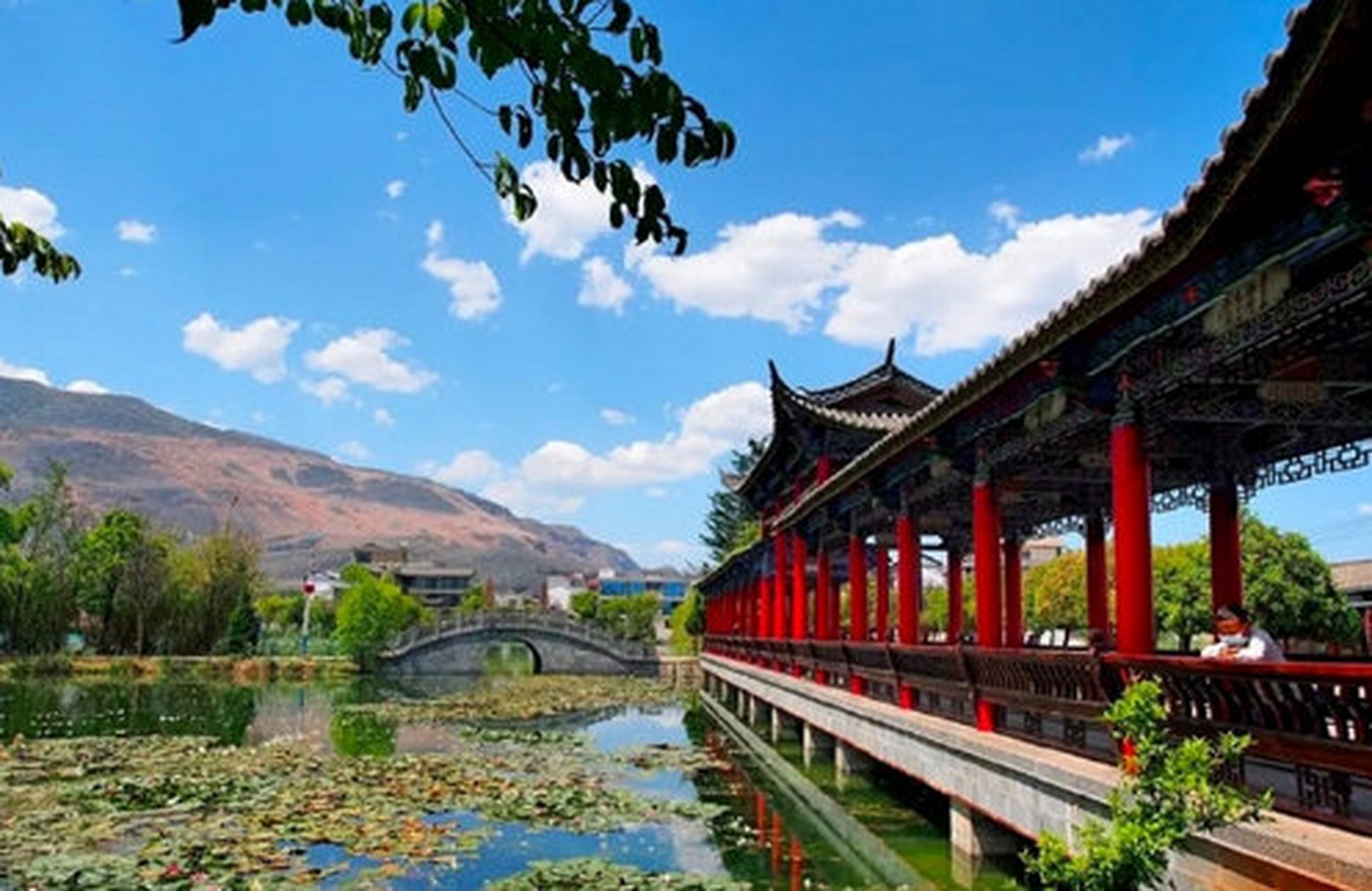 大理鹤庆白龙潭,有没有龙我不知道,不过风景确实不错,水很清,可以看看