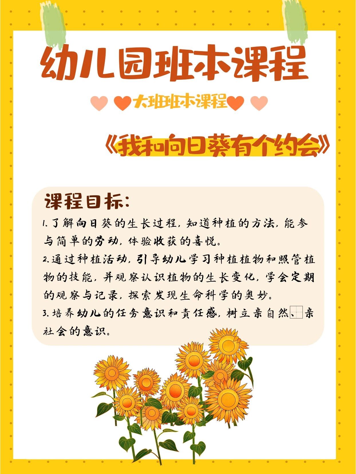 幼儿园大班班本课程《我和向日葵有个约会》