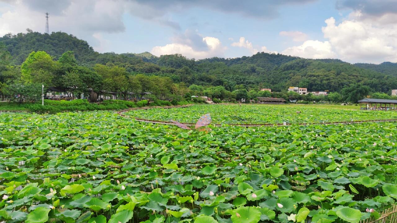 周末好去处 广州市花都红山村