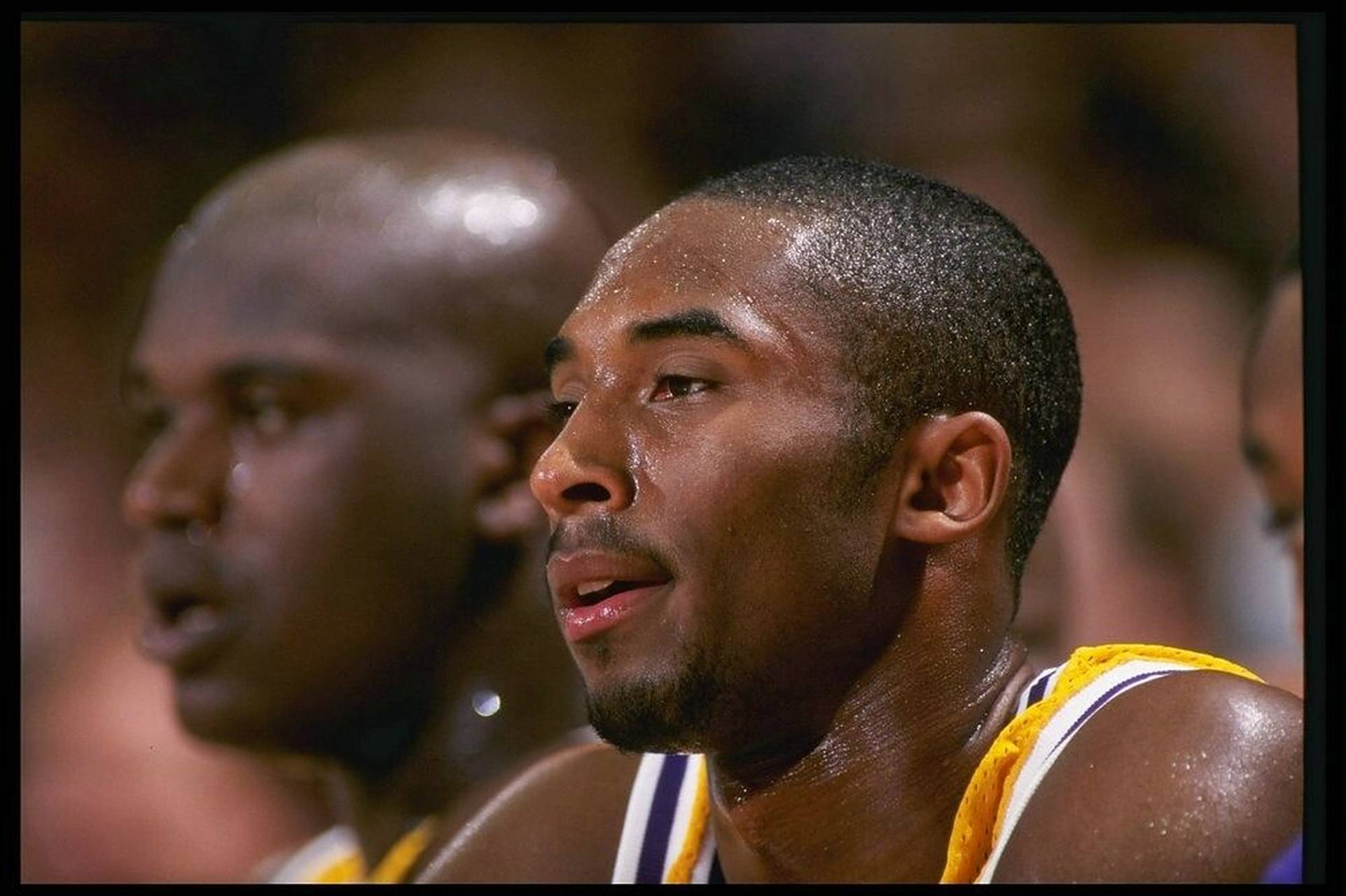 kobe #篮球# #nba# #科比# #篮球头像壁纸