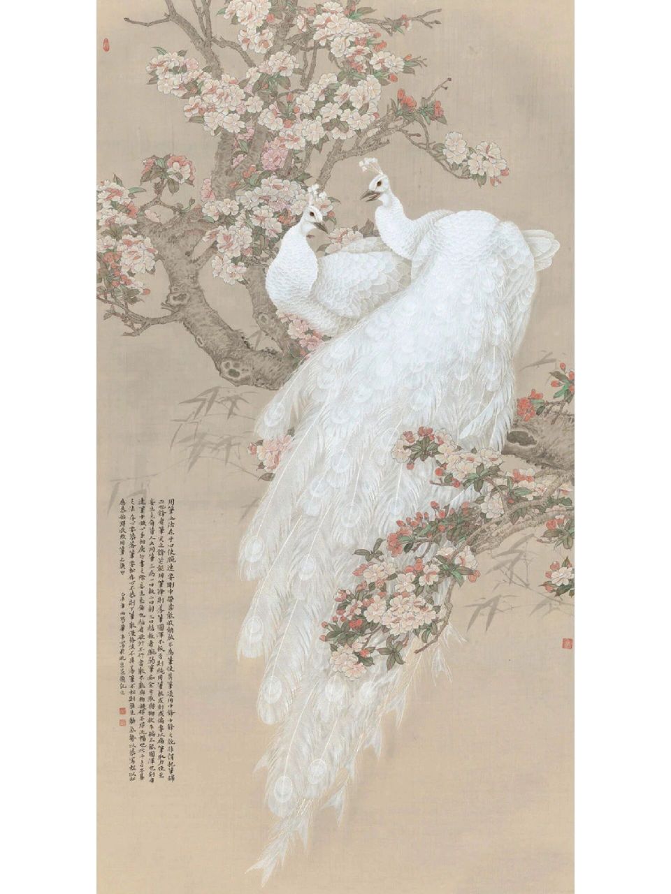 著名画家安华平先生工笔画白孔雀作品欣赏