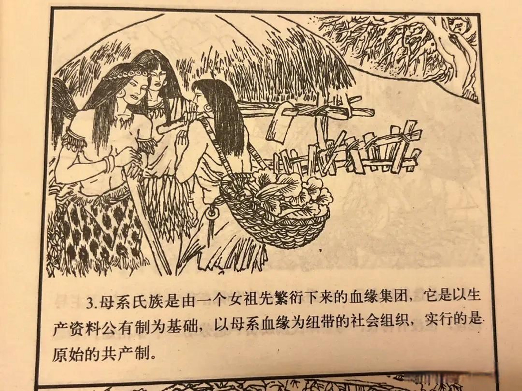 母系氏族 原始社会,人们以血缘关系结成了亲族集团——氏族.