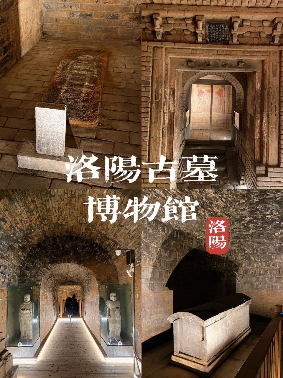 洛阳行 | 古墓博物馆97喜欢看墓的不能错过!