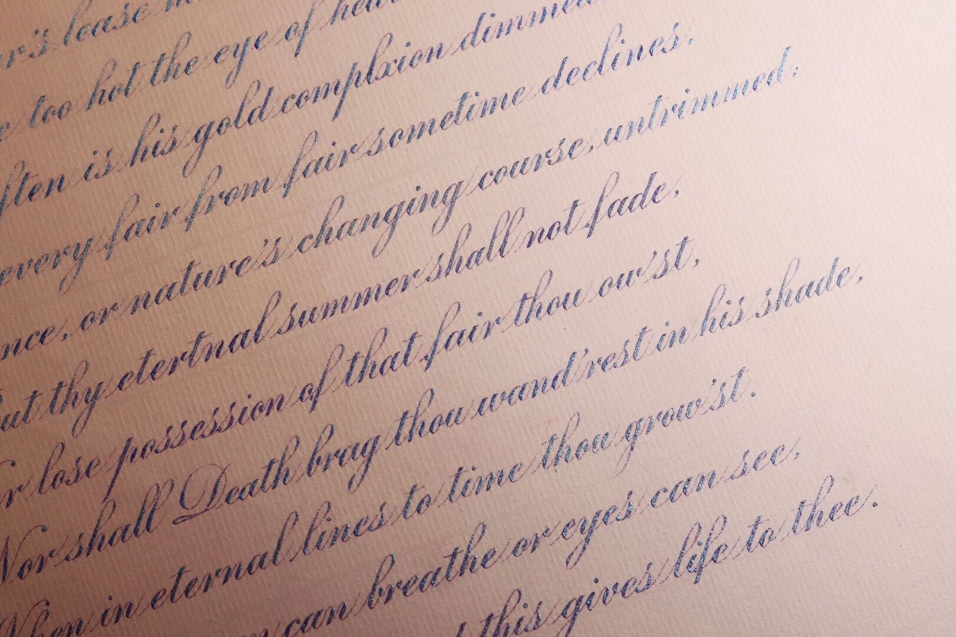 7115|sonnet 18 美到心巴上的颜色[期待] 	 正文字体:es 正文行距