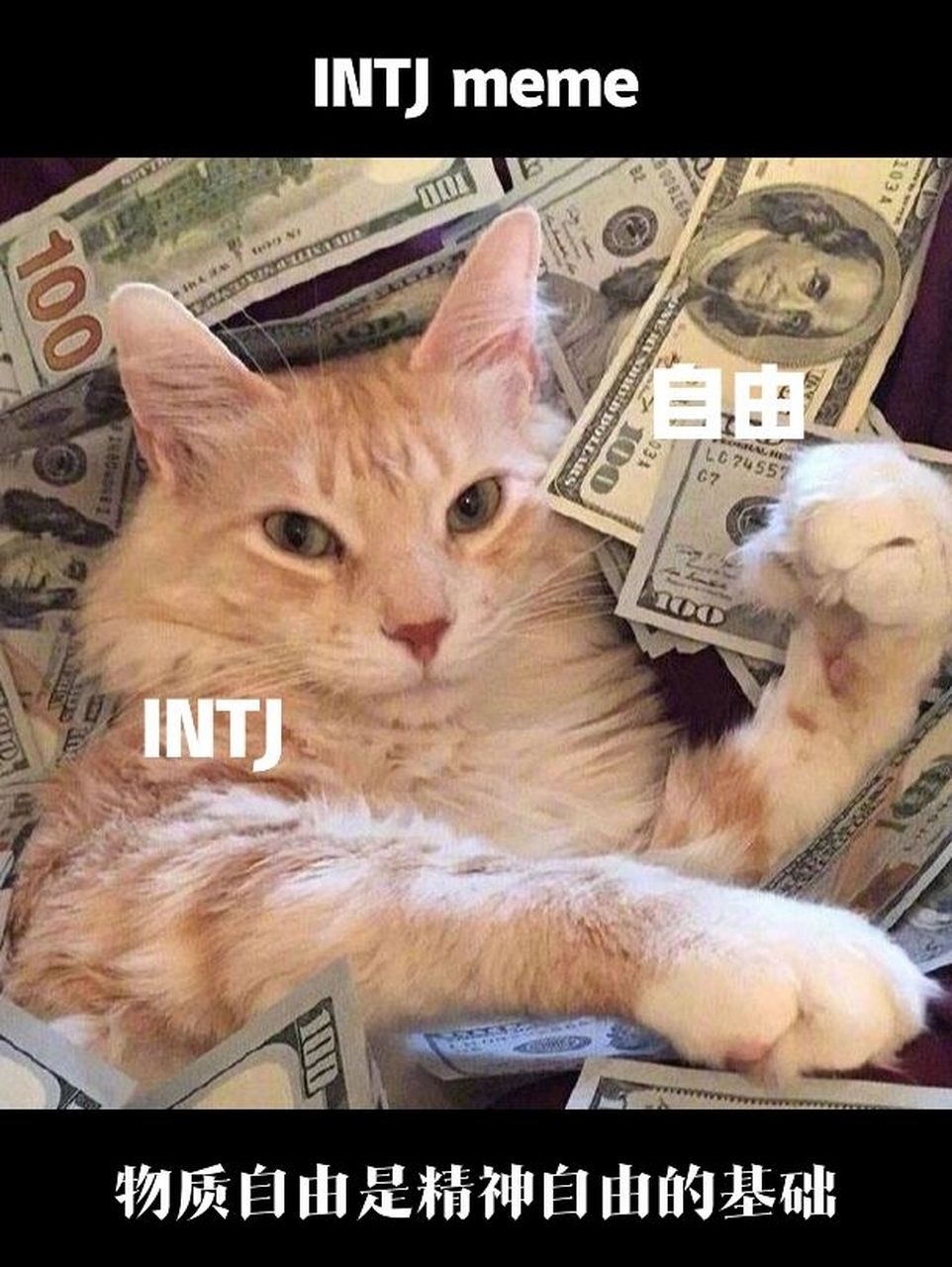 intj:钱可以解决很多阻碍我追求精神自由的障碍,让我能够更高效更心无