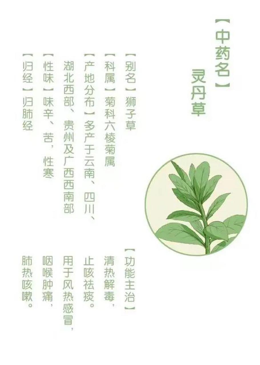 灵丹草颗粒被多家权威机构推荐用于防控新冠!