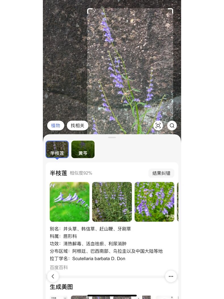 百度app拍照识万物