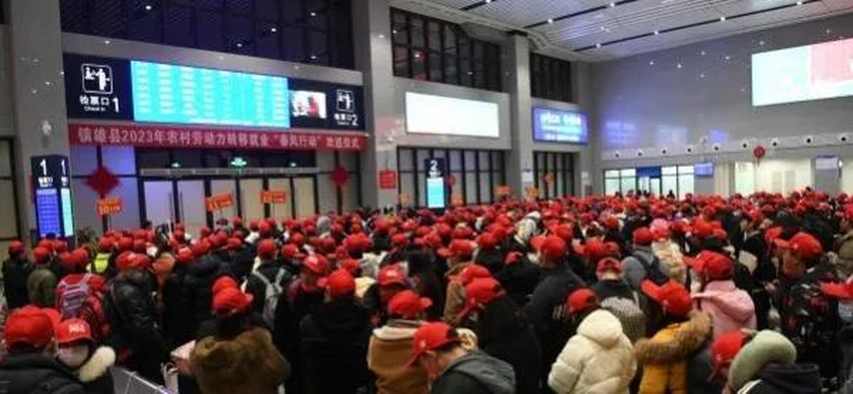 媒体:云南镇雄是全省第一人口大县,总人口171万,有农村劳动力79万余人