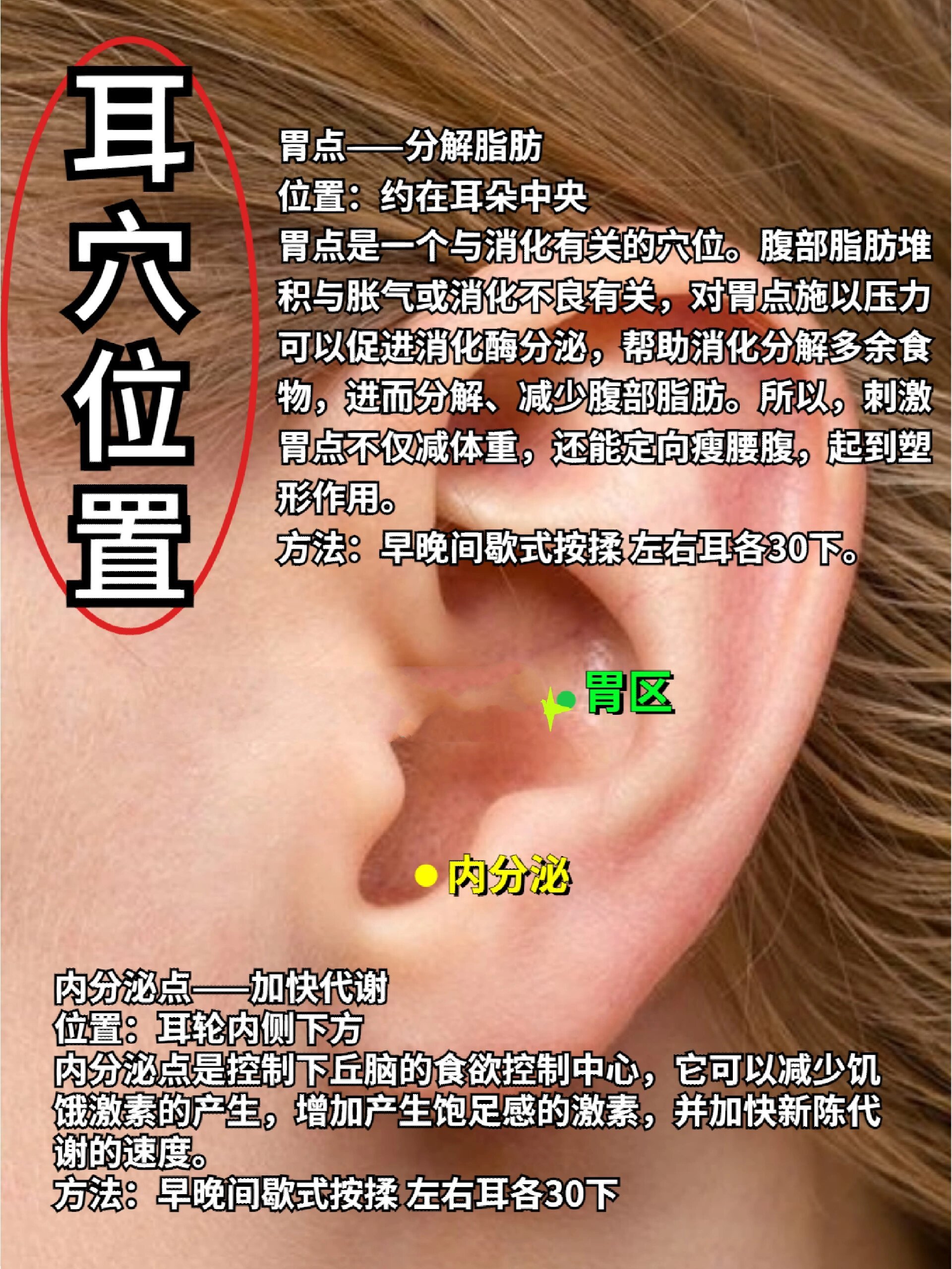 饥点跟饥饿感密切相关,当肠胃向控制食欲的下丘脑发出"饿"的信号时